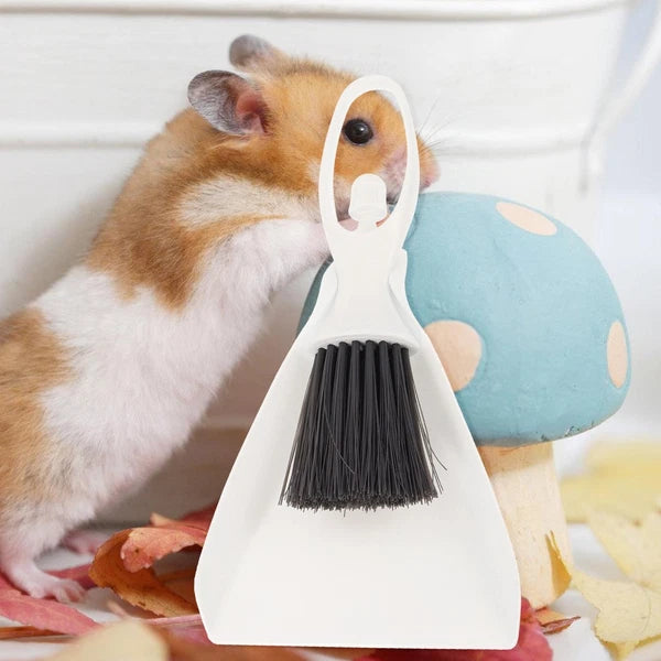 Cleaning Tool Set Mini Hamster Brushes Sets Small Dust Pan Broom with Dustpan