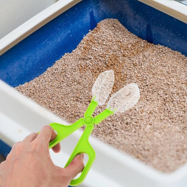 3 PCS Pet Cleaning Tools Small Dustpan Brush Sets Broom Hand Whisk Hamster