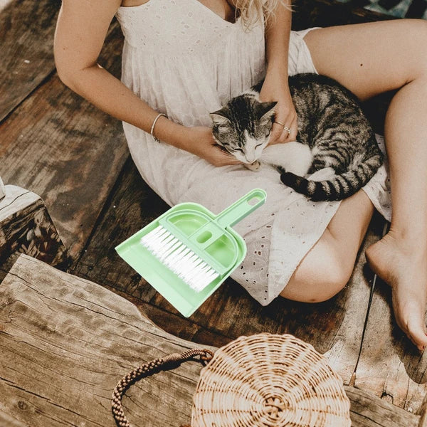 Small Broom Set Multi-use Cleaning Tools Hamster Cage and Dustpan