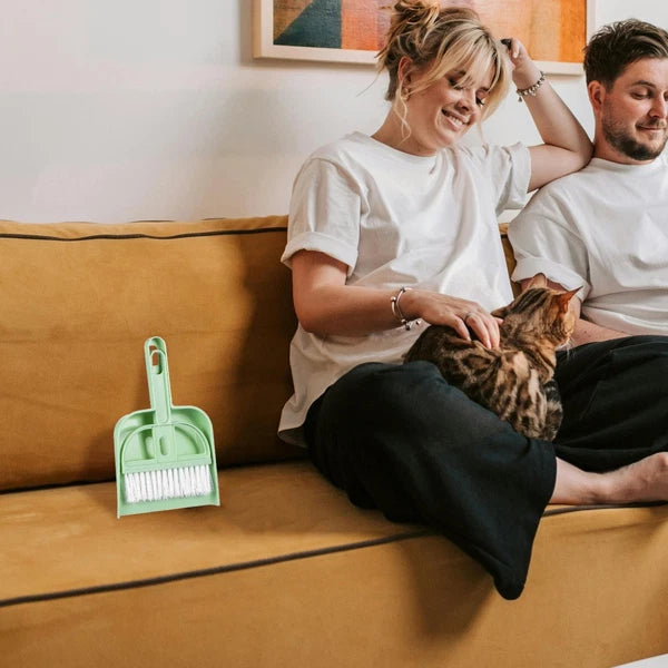 Small Broom Set Multi-use Cleaning Tools Hamster Cage and Dustpan